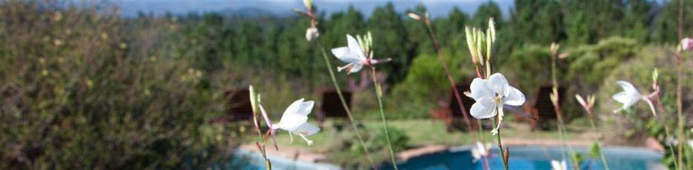 Fynbos Ridge &
