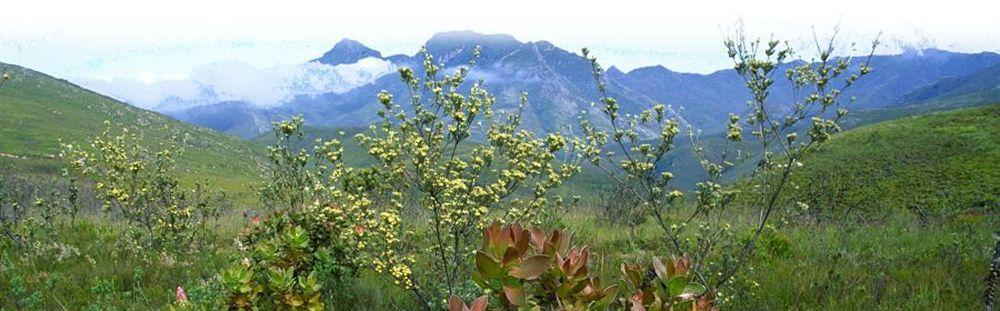 Fynbos Ridge & Landhuis *
