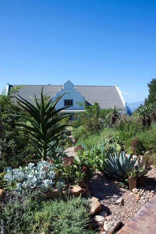 Fynbos Ridge &