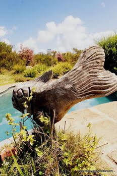 Fynbos Ridge & Landhuis *