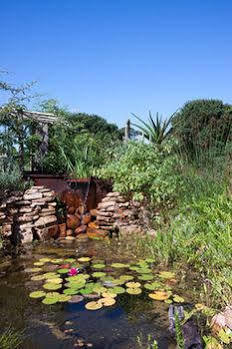 Landhuis Fynbos Ridge &